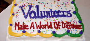 Volunteer Cake